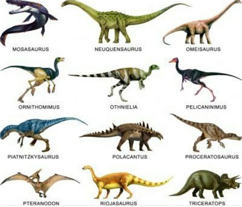 Different Types Of Dinosaurs Names