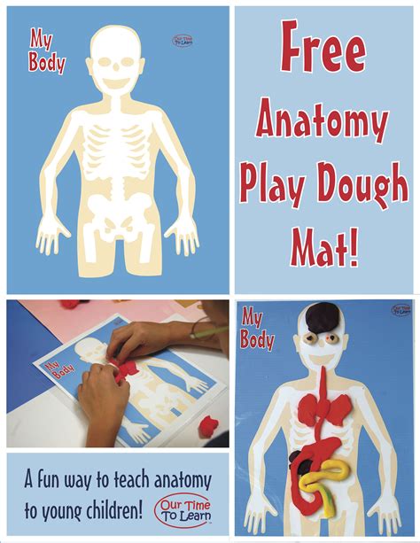 The pain might start in one place and move (radiate) to another. Human Body/Anatomy teaching tool - make play dough organs and put them in the right position on ...