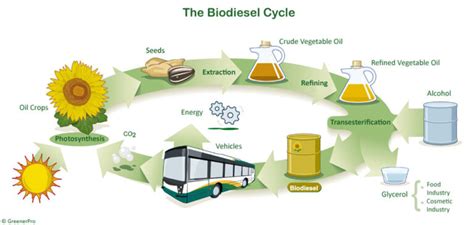 Biofuels Advantages And Disadvantages In 2023 Linquip