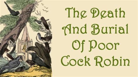 Who Killed Cock Robin By Tales Of Curiosity
