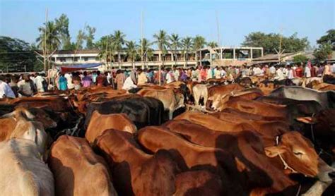 In 2021, the festival shall be celebrated on 20 july and it falls on tuesday. Eid Festival in Bangladesh | Eid-ul-fitr and Eid-ul-adha