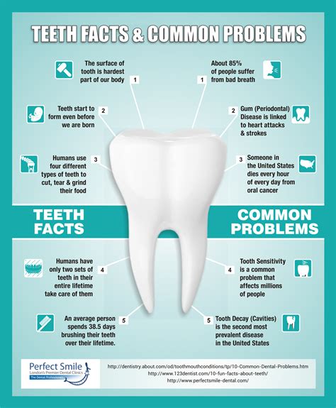 Teeth Facts Common Problems Visual Ly