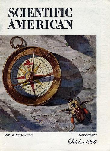Scientific American October 1954 Cover Scientific American Magazine