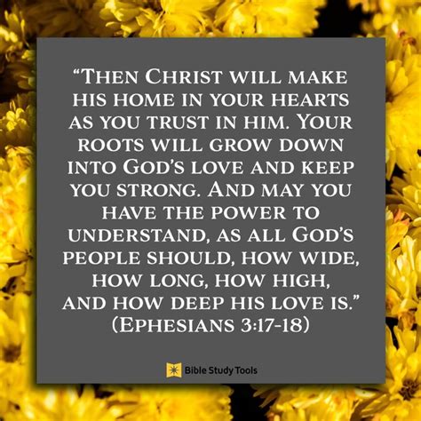 how to carry christ into every room you enter ephesians 3 17 18 your daily bible verse