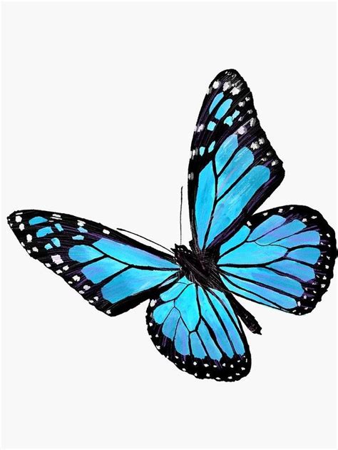 Hd00:30beautiful monarch butterfly opening wings on a daisy flowers on blue background. Pin by madddiiieee on wallpapers/aesthetic | Butterfly art drawing, Butterfly art painting ...