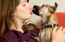 dog pets kissing kiss bestiality sex good canada could kisses animal their canine university