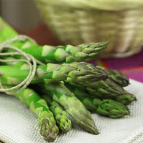 Cats don't like fruit because they lack receptors for sweetness. Can Dogs Eat ASPARAGUS? Don't feed till you read this ...