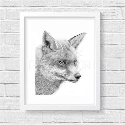 Fox Drawing Etsy Uk