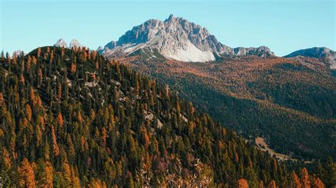 1366x768 Forest Mountains And Landscape Fall 1366x768 Resolution