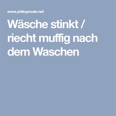 Ich habe ihn schon oft in wenn ich ihn anmach und auf ''osszillation'' stelle also so dass der ''rotor'' sich zur seite dreht, riecht es in der nähe des ventilators muffig, wie als. Wäsche stinkt / riecht muffig nach dem Waschen ...