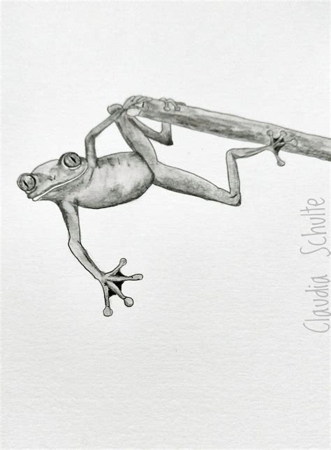 The Free Climber Frog Drawing Sketchbook Pencil Drawings Of