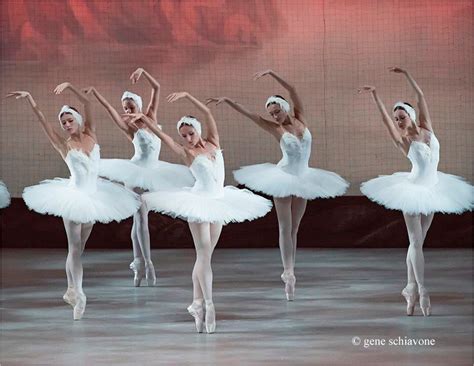 Julia Juliazba Twitter Ballet Photography Dance Art Ballet