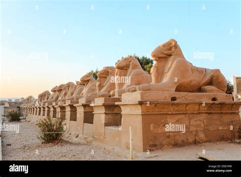 Row Of Ram Headed Sphinxes In Karnak Temple Luxor Egypt Stock Photo
