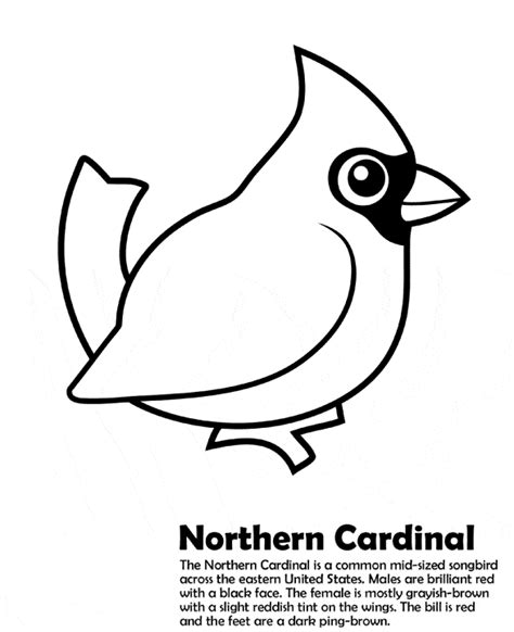Northern Cardinal Coloring Page Animals Town Free Northern Cardinal