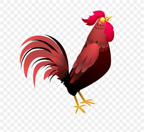 Rooster Chicken Drawing Cartoon Png 833x764px Rooster Beak Bird