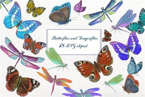 Butterfly Dragonflies Clipart Png Collection