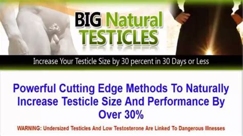 How To Increase Testicle Size Naturally How To Increase Testicle Size Grow Bigger Testicles