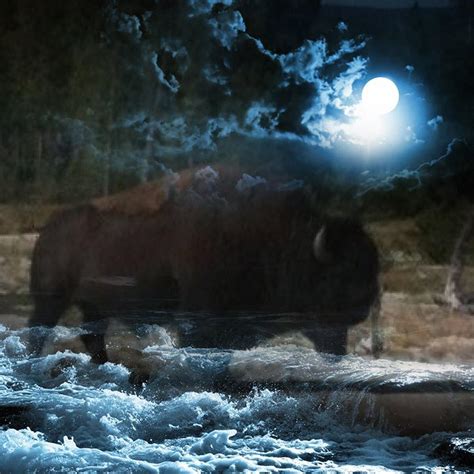 Buffalo In The Night Digital Art By Bryan Bromstrup