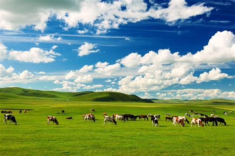 Its Time For You To Visit Inner Mongolia Expats Holidays