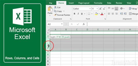 Silahkan gunakan file di atas sesuai dengan fungsinya. 3 Cara Mengubah Tinggi Baris (Row Height) Di Microsoft Excel