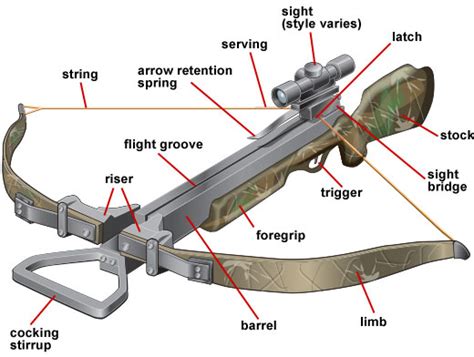 Parts Of A Crossbow