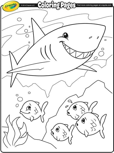 We did not find results for: Hammerhead Coloring Pages at GetDrawings | Free download