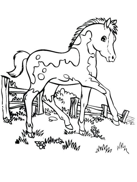 Free Printable Wild Horse Coloring Pages Horses Are Known As Runner