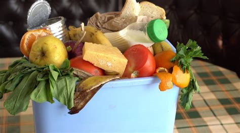Food Waste Problems What Are The Causes And Solutions