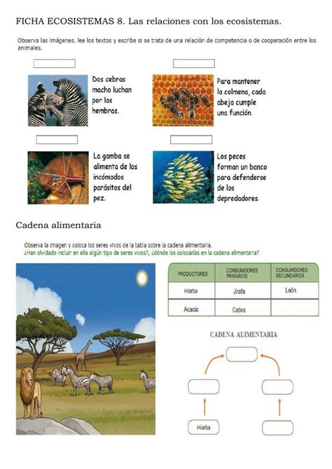 Ficha online de Los ecosistemas para º Puedes hacer los ejercicios online o descargar la ficha