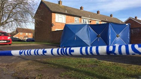 Thatcham Murder Inquiry Man Arrested Over Womans Death Bbc News