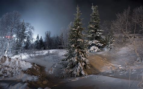 Night Landscape Trees Snow Ice Winter Wallpapers Hd