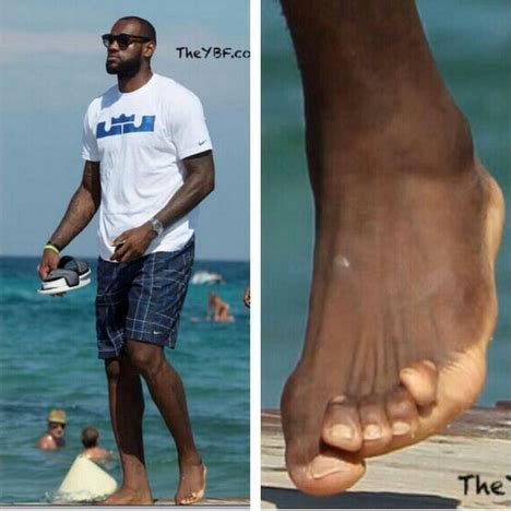 Fans React as Picture of LeBron James’ Feet S… | Nba funny, Funny memes