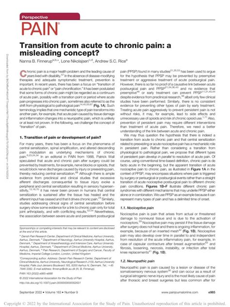 Transition From Acute To Chronic Pain A Misleading Concept Pain
