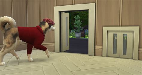 The Sims 4 My First Pet Stuff Pack Guide Simsvip