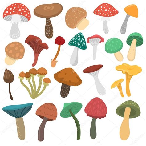 Mushrooms Vector Illustration Set Stock Vector Image By ©vectorshow