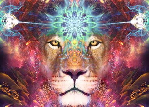 Find Out If The Powerful Lion Is Your Spirit Animal Conscious Reminder