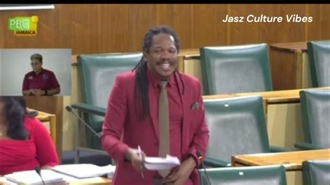 Senator Damion Crawford And The Welfare Of Jamaican Children Youtube