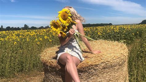 Farm Shop Asks People To Stop Posing Topless In Their Sunflower Fields