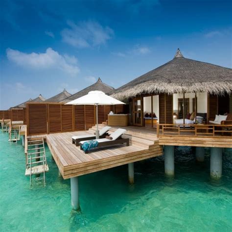 Book Beautiful Weddings In The Maldives With True Experts
