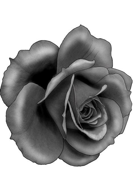 Pin By Abel Molano On Tattoos Rose Tattoos Flower Tattoos Flower
