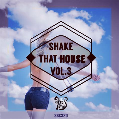 Shake That House Vol 3 Compilation By Various Artists Spotify