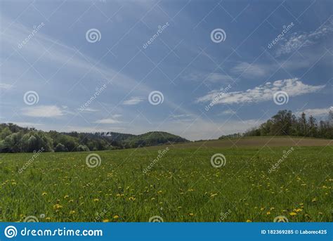 View For Meadows And Pasture Land Near Vigantice Village Stock Image