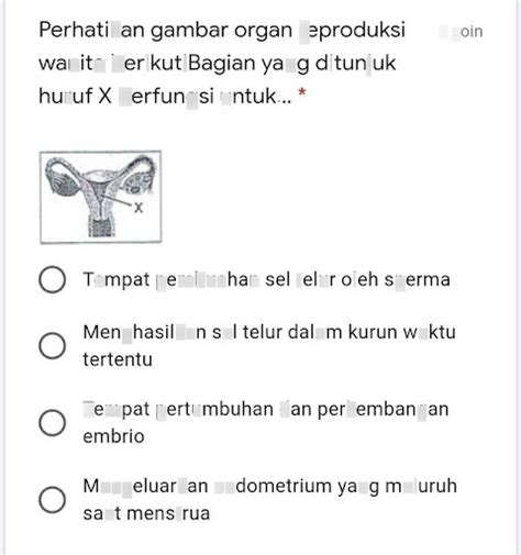 Fungsi Organ Yang Ditunjukkan Oleh Huruf X Adalah Data Dikdasmen