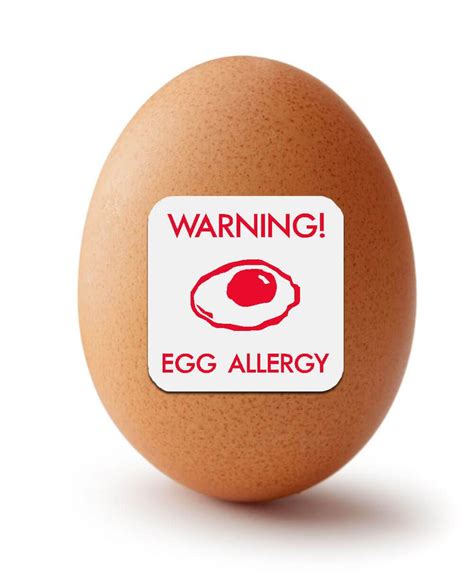 Egg Allergy Stickers My Name Label Uk