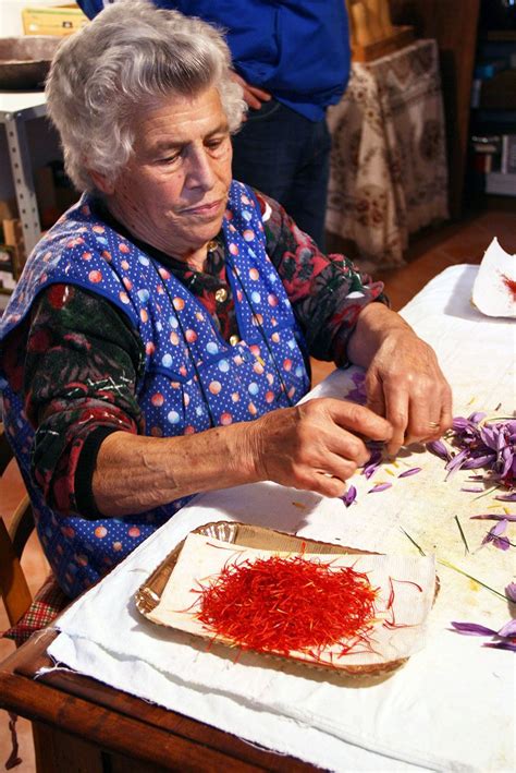 I'm guessing this economic warrior doesn't even wear clothes. Picking one of the Most Expensive Flowers in the World ...