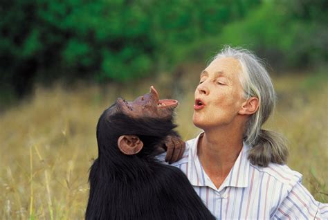 Jane Goodall To Speak At The State Theater In New Brunswick Princeton