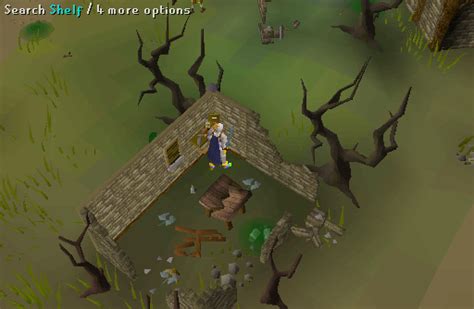 After reading the diary, the quest is started and you are able to create serum 207. OSRS Shades Of Mort'ton - RuneScape Guide - RuneHQ