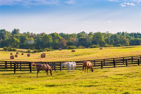 7 Critical Aspects Of Buying Farm Or Ranch Property Michael Johnson