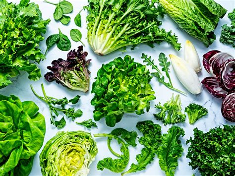 Different Types Of Salad Leaves And How To Pick Prep And Store Them