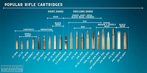 Rifle Ammunition Sizes Comparison Chart